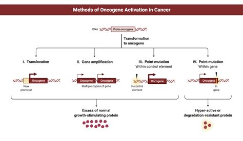 Methods of Oncogene Activation in Cancer | BioRender Science Templates