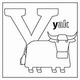 Yak letter Y coloring Page By SmartStartStocker  TheHungryJPEG sketch template