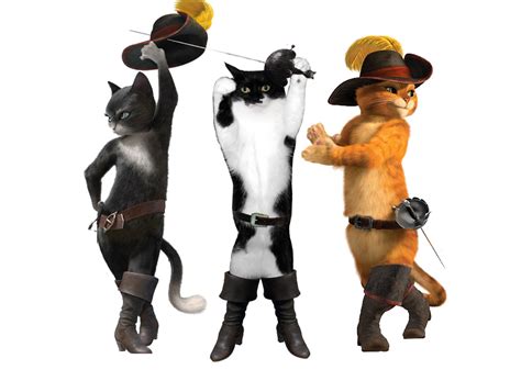 Puss In Boots And Kitty Softpaws Kiss