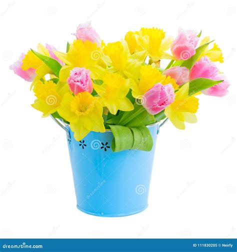 Bouquet of Tulips and Daffodils Stock Image - Image of isolated, fresh ...