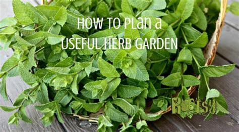 How to Plan a Useful Herb Garden - Rootsy Network