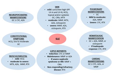 JCM | Free Full-Text | Targeted Therapy for SLE—What Works, What Doesn’t, What’s Next