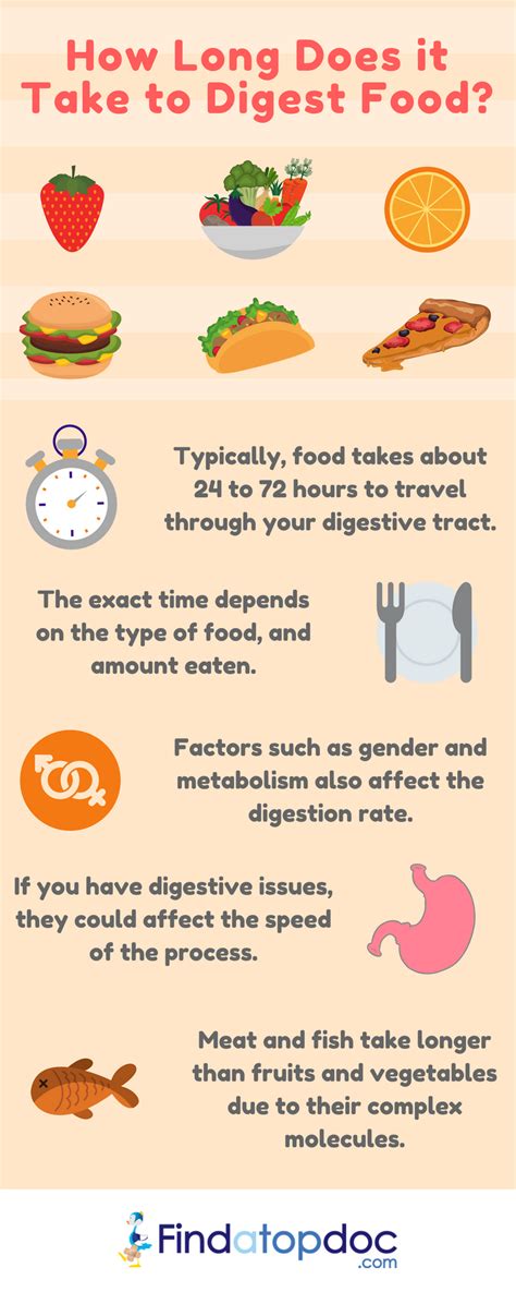 How Long Does Beef Stay In Your Body - Beef Poster