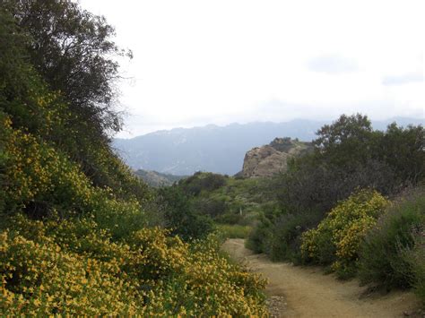 A Place of Mind: Topanga State Park, Los Angeles