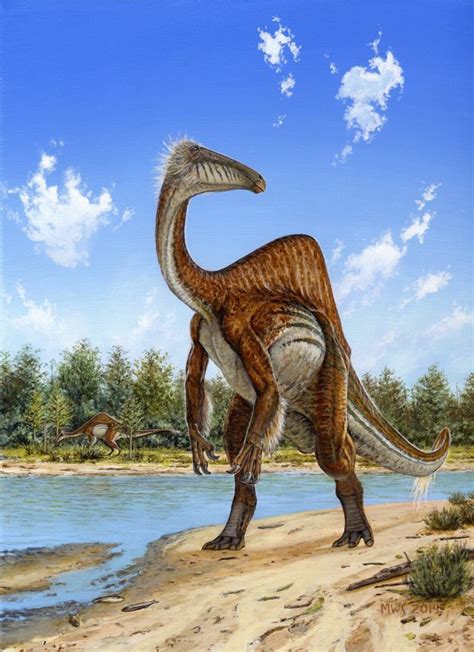 Deinocheirus fossils reveal dinosaur behind huge 'T.rex' arms | CBC News