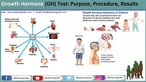 Growth Hormone Deficiency