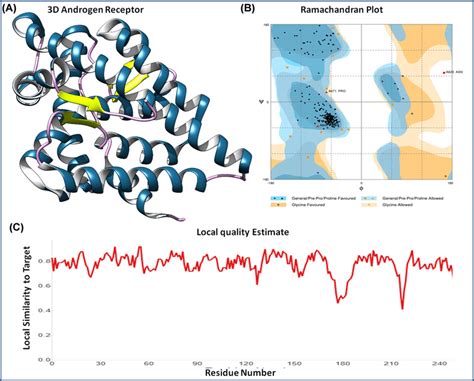 Androgen receptor and its structural analysis (A) Three-dimensional ...