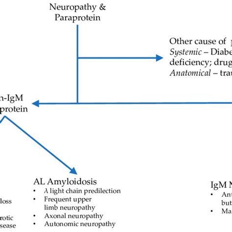 Initial clinical evaluation of a patient with a MGUS and peripheral ...