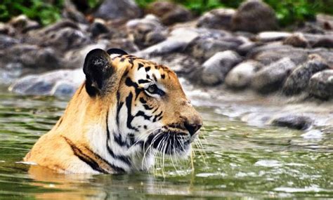 Visit the beautiful Sundarbans National Park | ABTA and ATOL Protected ...