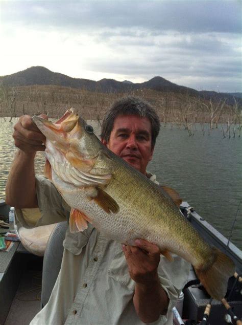 Lake Baccarac Lodge Fishing Report - International Bass Fishing - Bass Fishing Forums