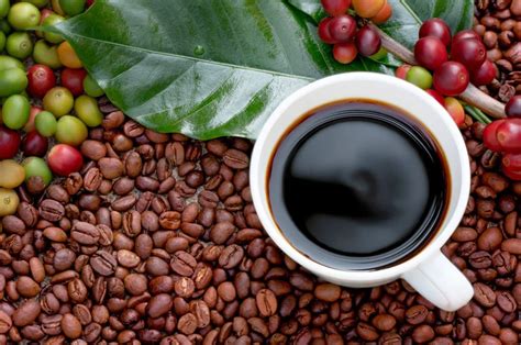 Global Organic Coffee Market Size, Share, Growth Trends and Forecast 2024-2030