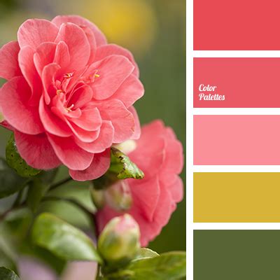 colours of winter | Color Palette Ideas
