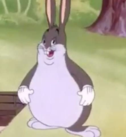 Create meme "fat bugs Bunny meme, bugs Bunny meme, fat bugs Bunny" - Pictures - Meme-arsenal.com