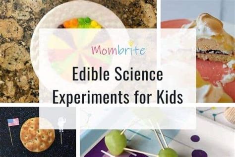 40+ Easy and Fun Edible Science Experiments for Kids | Mombrite