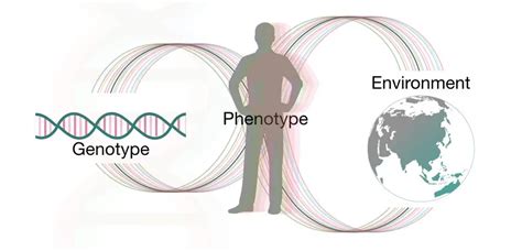 Influence of Gene-Environment Interaction on life – Genetic Education