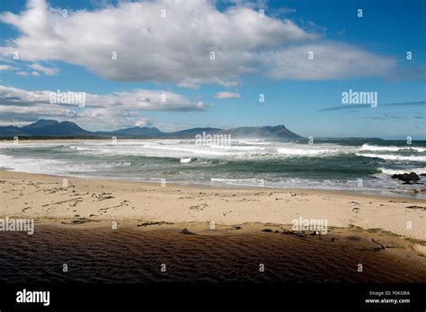 Large surf at Kleinmond Beach in Western Province, South Africa Stock Photo - Alamy