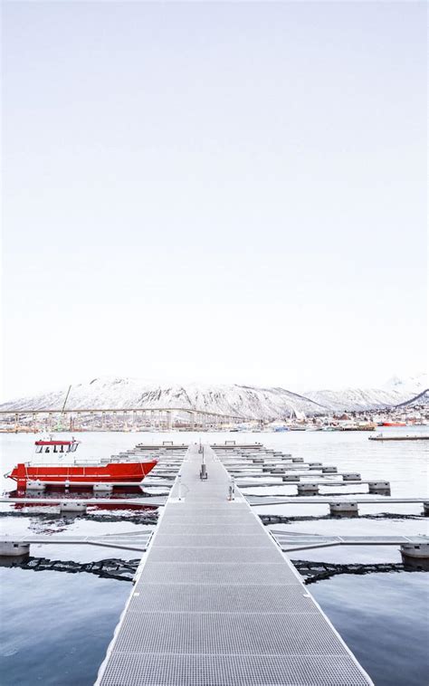 Things To Do in Tromso Norway - Grace J. Silla