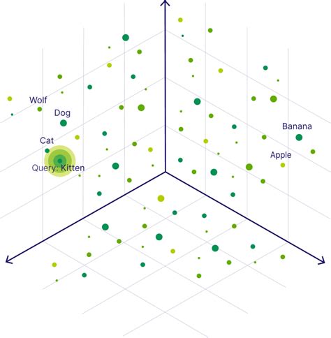 Types Of Similarity Search Algorithms | Restackio