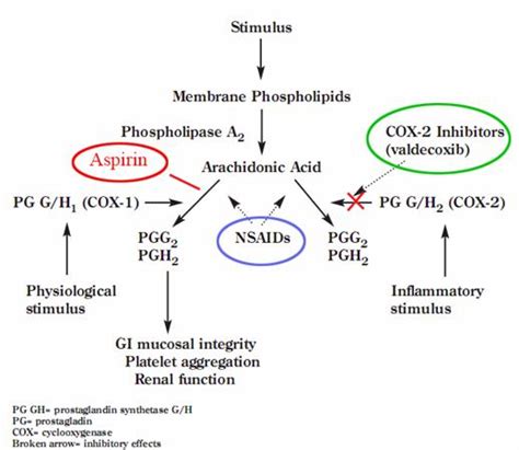 Nsaid Mechanism Of Action