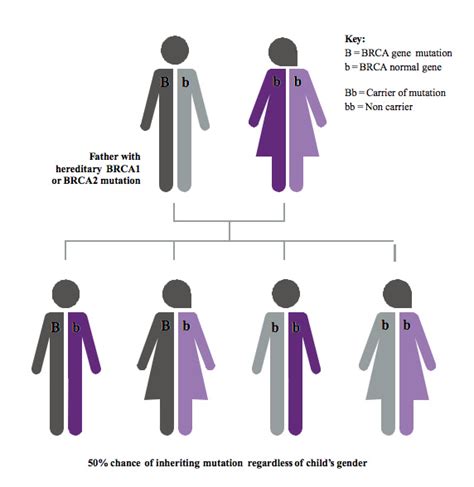 Understanding genes & mutations - Marie Keating Foundation