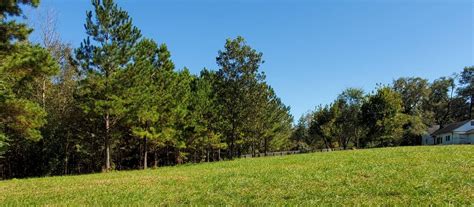 Cauley Creek Park | Chattahoochee RiverLands