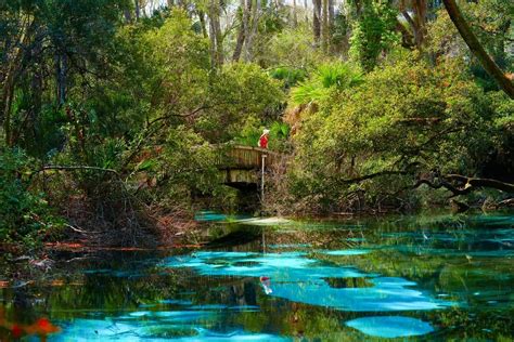 Tips for Juniper Springs: A Perfect Summer Oasis - Florida Trippers