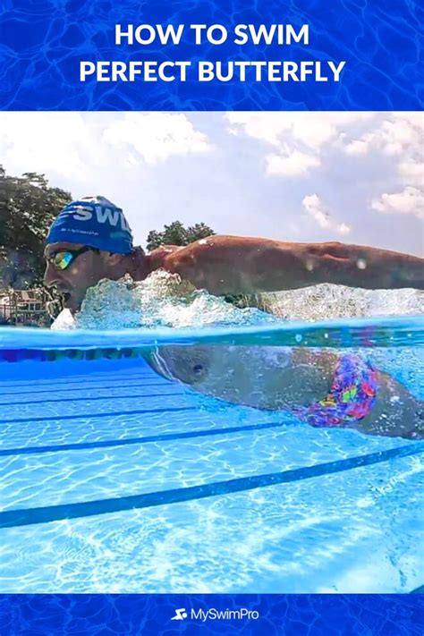 How To Swim Butterfly With Perfect Technique | Butterfly swimming, Swim technique, Swimming