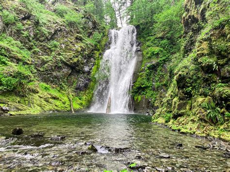 The Best Hikes in the Gifford Pinchot National Forest - Maddie Deer in 2021 | Best hikes ...