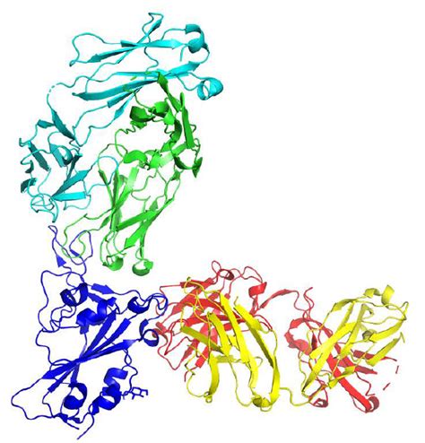 Cryo EM Advances - Disease Research - Life in Atomic Resolution