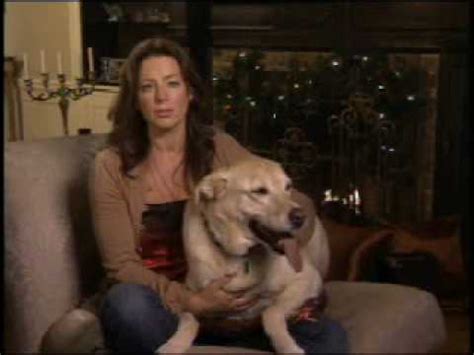 Sarah McLachlan "Silent Night" SPCA Commercial - YouTube