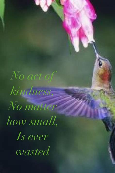 Hummingbird Images And Quotes Love. QuotesGram