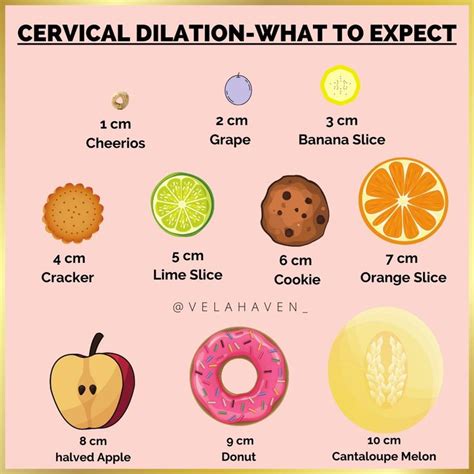 Cervix Dilation Chart: The Stages Of Labor In Pictures