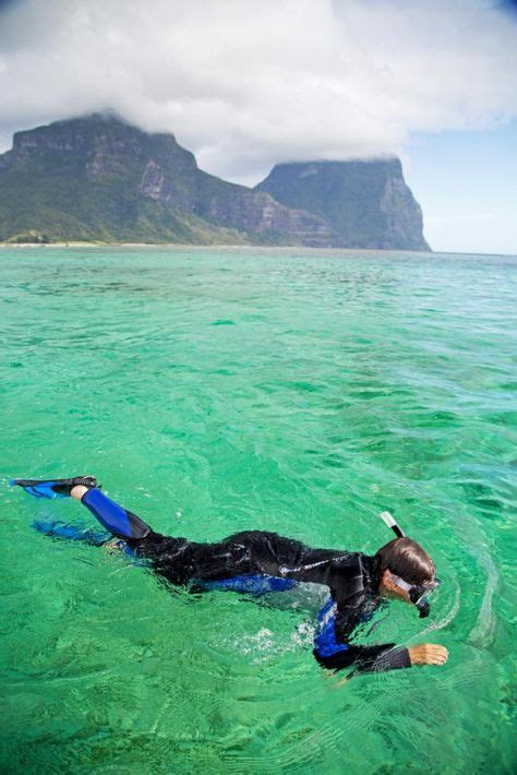 60 Snorkelling/Diving - Lord Howe Island ideas | underwater photography, snorkelling, crystal ...