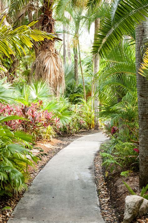 Florida Tech Botanical Gardens | Fasci Garden