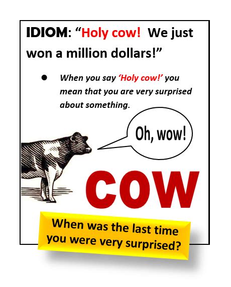 Idiom: Holy cow! - All Things Topics