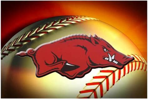 Just To Clarify: Arkansas Razorback Baseball Team Starts Preseason ...