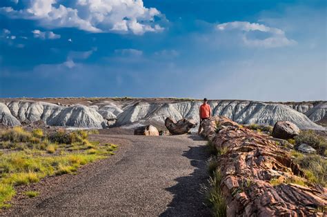 The Best 24-Hour Itinerary for Petrified Forest - A Couple Days Travel