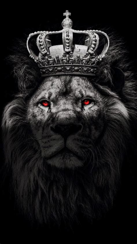 wallpaper lion red eyes for iPhone/Android free download | Lion images ...