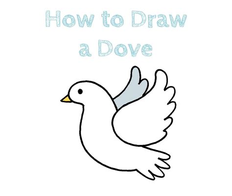 Learn to Draw a Beautiful Dove - Step by Step Tutorial