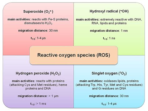 Frontiers | The Significance of Reactive Oxygen Species and Antioxidant Defense System in Plants ...