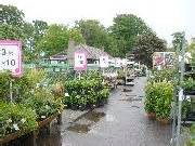 Dobbies Garden Centre, Aberdeen