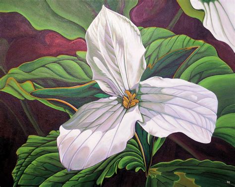 Trillium found on a woodland trail in Ontario Fine Art by Wendy Russell | Art, Fine art america ...