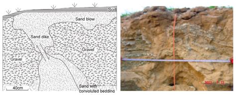 Photo and drawing of a ground rupture, showing features of sand dike ...