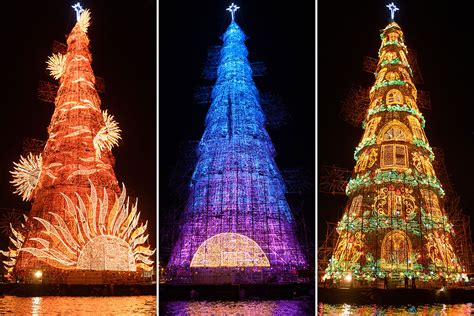 Hot shots photos of the day: Stegosaurus, Typhoon Hagupit, world's tallest Christmas tree