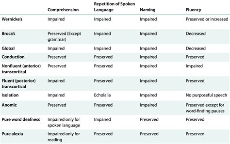 Aphasia - The pathology behind speech defects — Firstclass