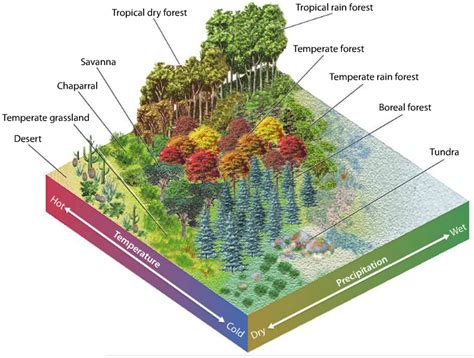 06 Biomes & Aquatic Ecosystems - IsonBiology.com