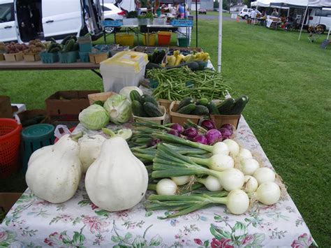 Downtown Berlin Farmers Market Serves Fresh Produce With a Smile ...