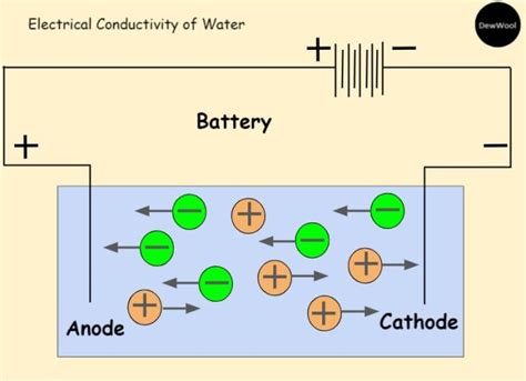 Conductivity of water - DewWool