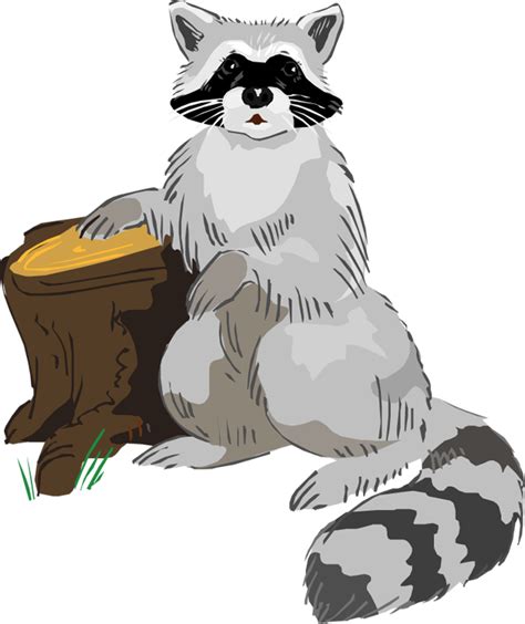 Free raccoon clipart 2 – Clipartix