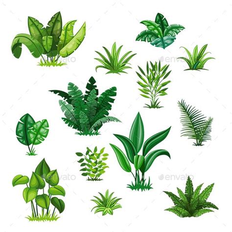 Set With Different Tropical Plants | Plant cartoon, Plant drawing ...